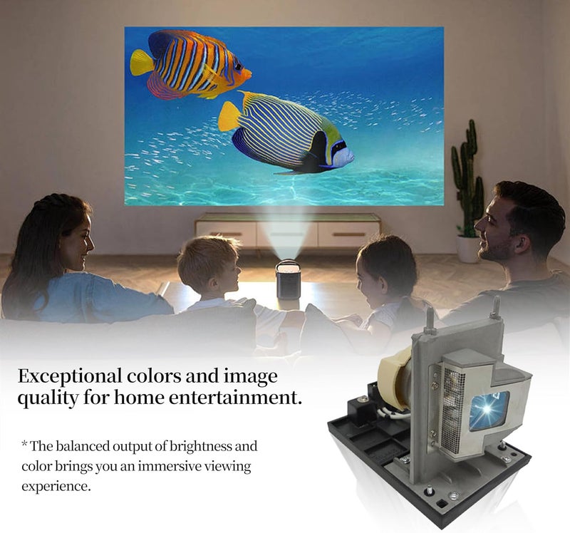 SORNEICDR 20-01175-20 لمبة بروجكتور بديلة بجودة A+ متوافقة مع Smart Board 680ix 685ix 885i 885ix UX60، مع هيكل - Image 5
